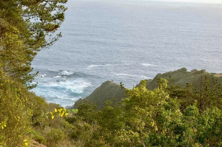 Preciosa Parcela con Vista al Mar (173828) - Imagen 9
