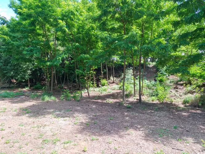 Parcela en venta sector Las Pataguas  (173826) - Imagen 3