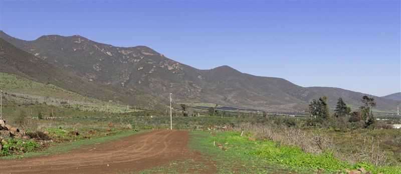 Parcelación en Cabildo, La Ligua. (173823)