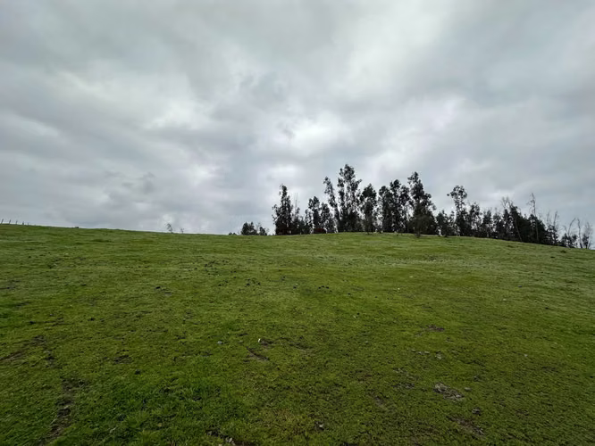 Ubicación Perfecta para Tu Proyecto Soñado (173794)