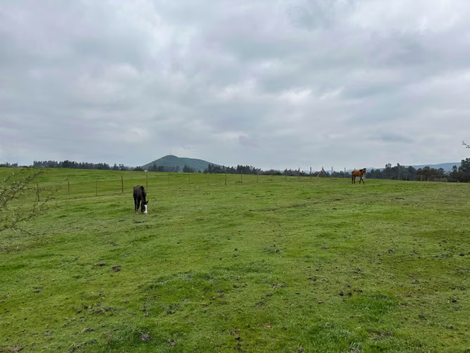 Espectacular Terreno en Codigua - Melipilla (173794)