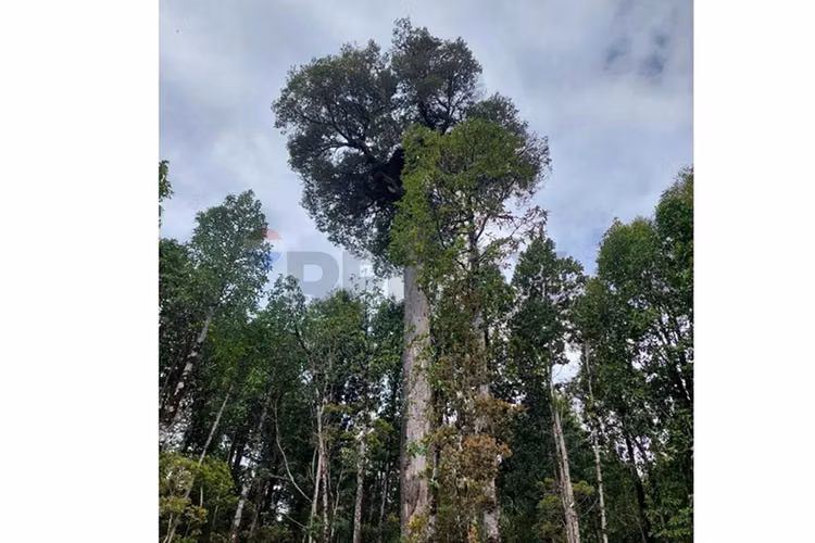 Bella parcela en condominio en puerto varas
