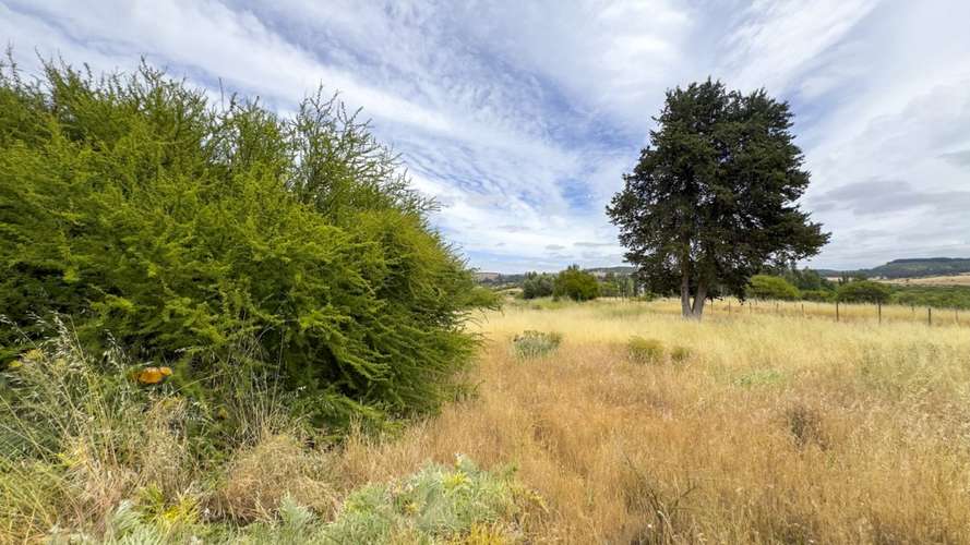 PARCELA 10.000 M2 EN CHUCHUNCO, LA ESTRELLA.