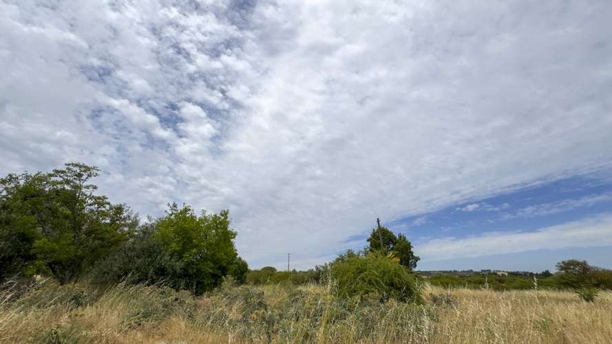 PARCELA 10.000 M2 EN CHUCHUNCO, LA ESTRELLA.