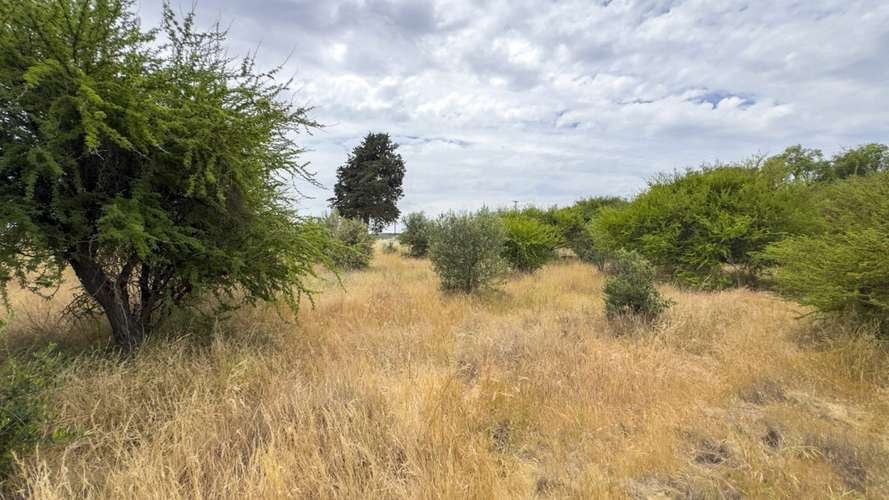PARCELA 10.000 M2 EN CHUCHUNCO, LA ESTRELLA.