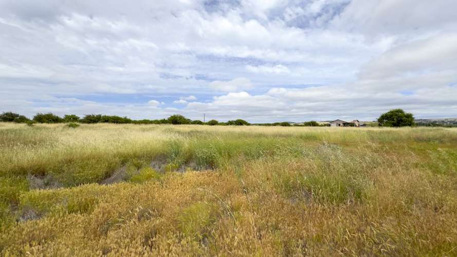 PARCELA 10.000 M2 EN CHUCHUNCO, LA ESTRELLA.