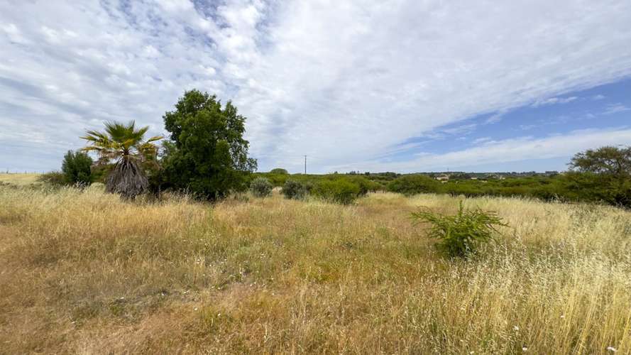 PARCELA 10.000 M2 EN CHUCHUNCO, LA ESTRELLA.
