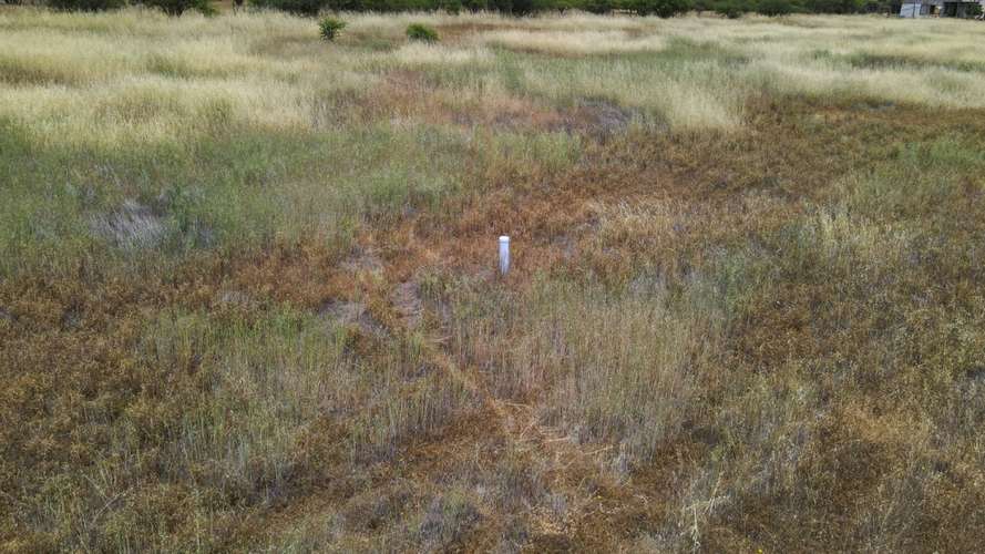 PARCELA 10.000 M2 EN CHUCHUNCO, LA ESTRELLA.