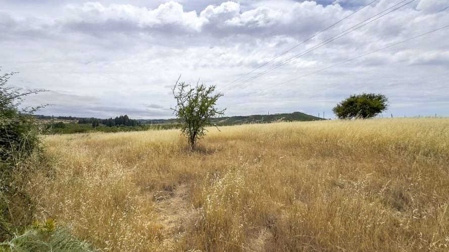 PARCELA 10.000 M2 EN CHUCHUNCO, LA ESTRELLA.