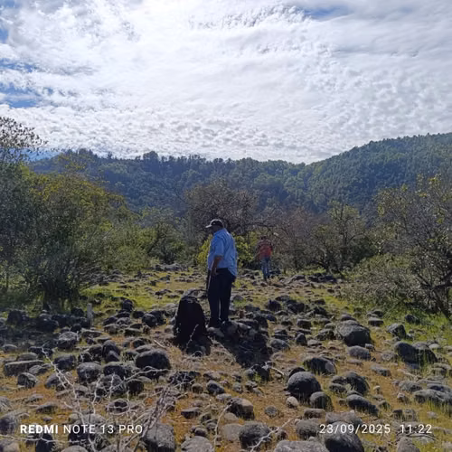 “LOTEO VEGA DEL MOLINO” Parcelas de 5000 M2 Rio Achibueno