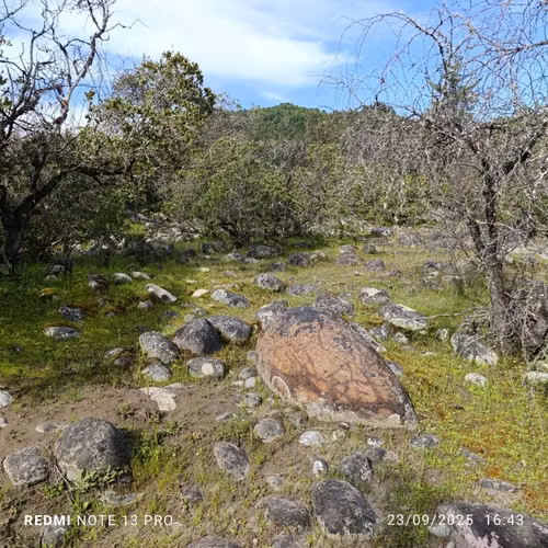 “LOTEO VEGA DEL MOLINO” Parcelas de 5000 M2 Rio Achibueno