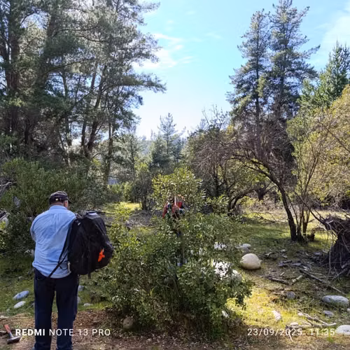 “LOTEO VEGA DEL MOLINO” Parcelas de 5000 M2 Rio Achibueno