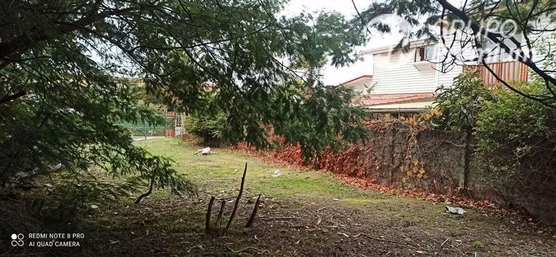 Excelente Sitio en venta en Canal Chacao