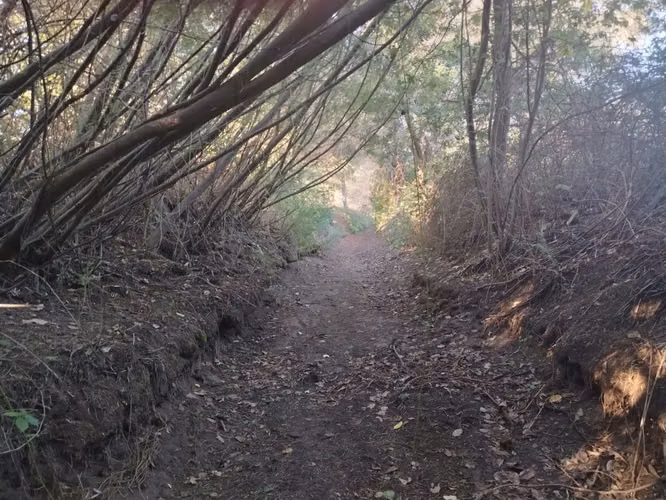 terreno ubicado en sector san martin , los angeles.