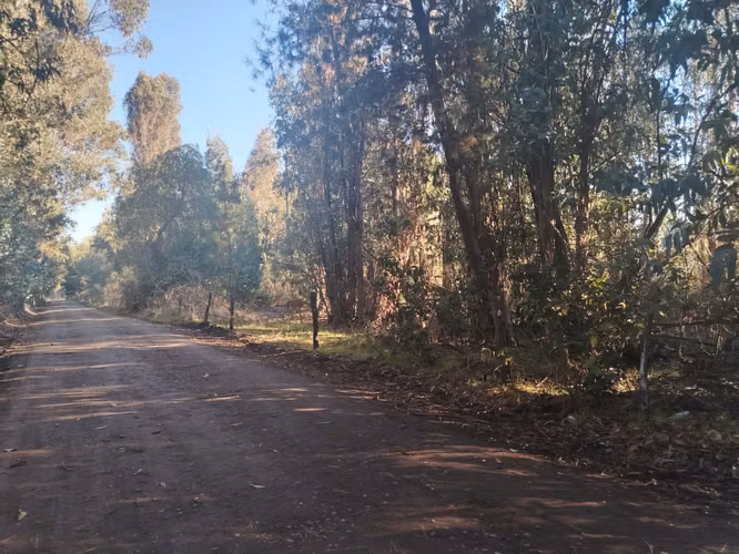terreno ubicado en sector san martin , los angeles.