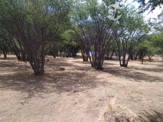 Agrícola en venta en Combarbalá