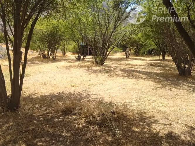 Agrícola en venta en Combarbalá