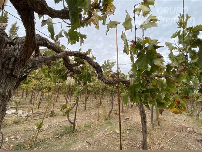 Parcela en venta en Paiguano
