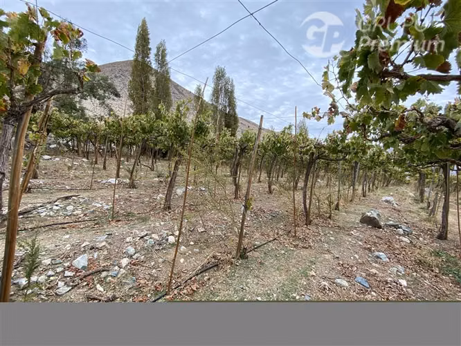 Parcela en venta en Paiguano