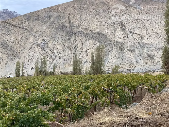 Parcela en venta en Paiguano