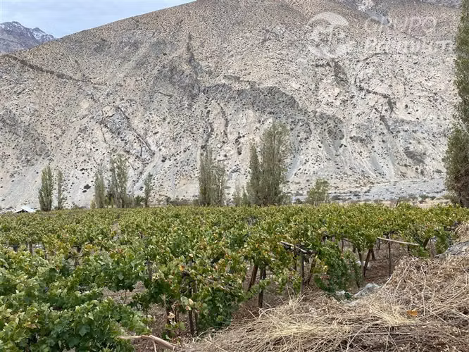 Parcela en venta en Paiguano