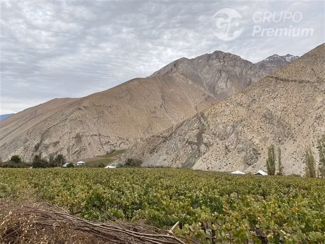 Parcela en venta en Paiguano