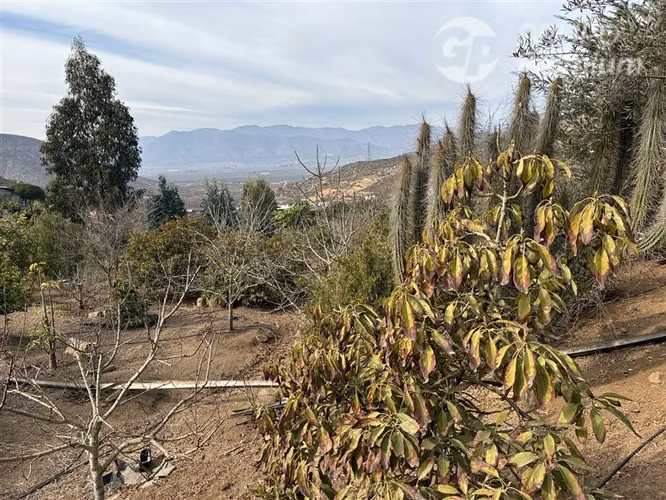 Parcela en venta en Coquimbo