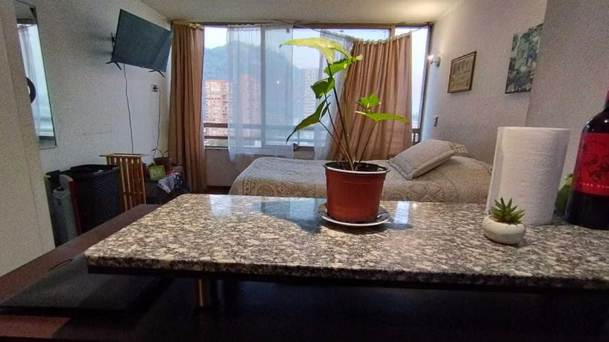 INVERSIONISTA Studio Recoleta/Clínica Davila (174027)