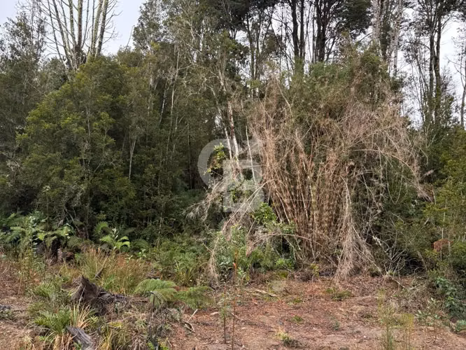 Parcela en Condominio Cerrado con Plusvalía y Servicios