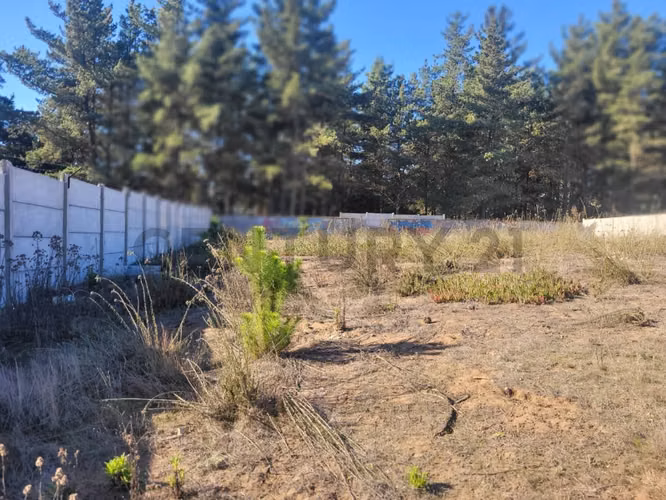 Exclusivo Terreno en Venta Sector Los Pinos, Bosques de Montemar - Imagen 8