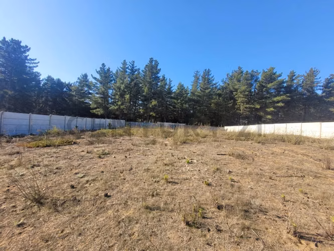 Exclusivo Terreno en Venta Sector Los Pinos, Bosques de Montemar - Imagen 5