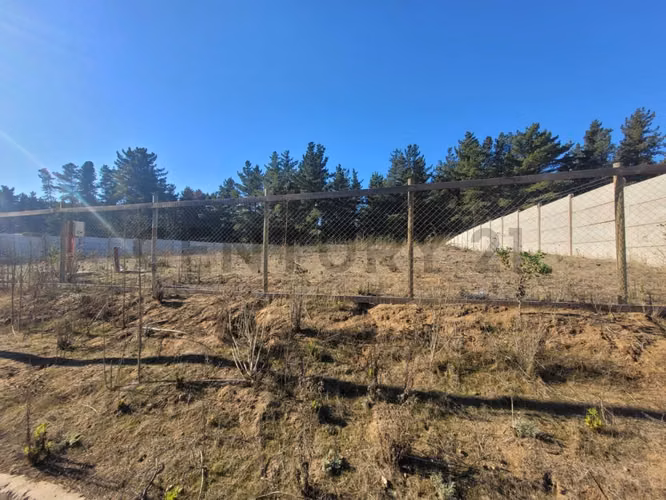 Exclusivo Terreno en Venta Sector Los Pinos, Bosques de Montemar - Imagen 18
