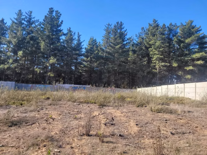 Exclusivo Terreno en Venta Sector Los Pinos, Bosques de Montemar - Imagen 11