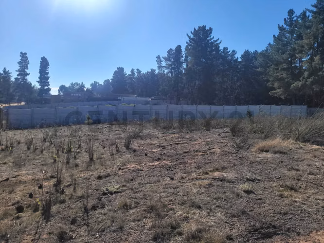 Exclusivo Terreno en Venta Sector Los Pinos, Bosques de Montemar - Imagen 2