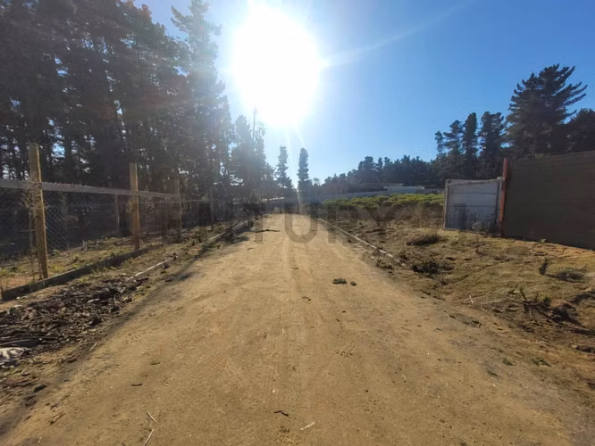 Exclusivo Terreno en Venta Sector Los Pinos, Bosques de Montemar - Imagen 21