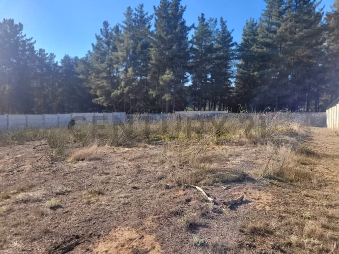 Exclusivo Terreno en Venta Sector Los Pinos, Bosques de Montemar - Imagen 4