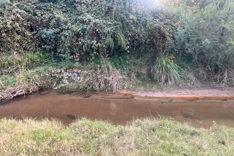 "venta casa de campo en camino santa juana"