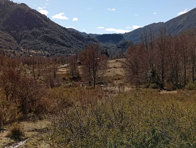 Venta parcela Panqui (174090) - Imagen 13