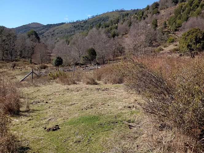 Venta parcela Panqui (174090) - Imagen 8
