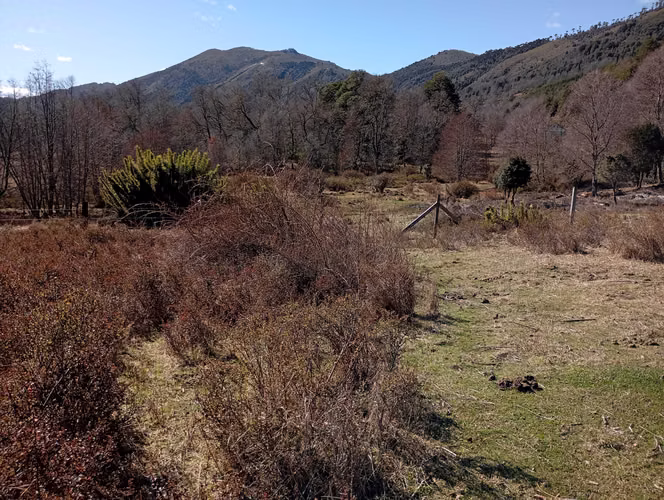 Venta parcela Panqui (174090) - Imagen 6