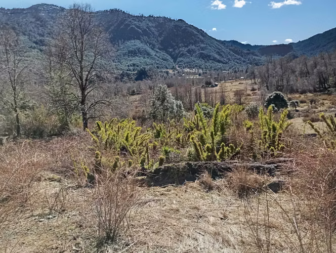 Venta parcela Panqui (174090) - Imagen 7