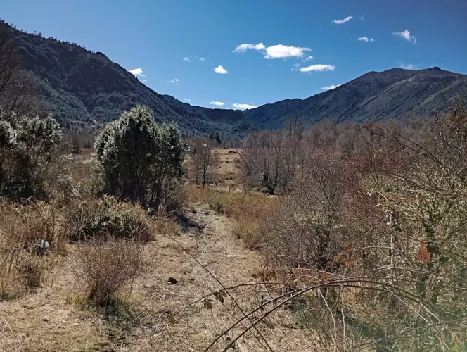 Venta parcela Panqui (174090) - Imagen 18