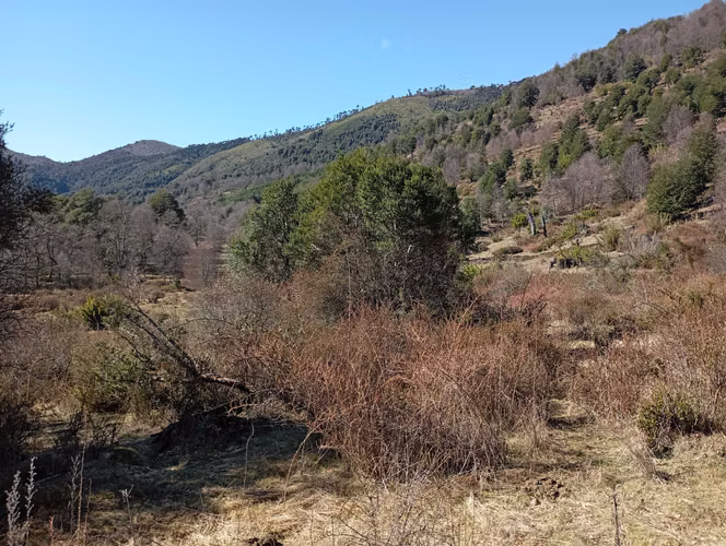 Venta parcela Panqui (174090) - Imagen 17