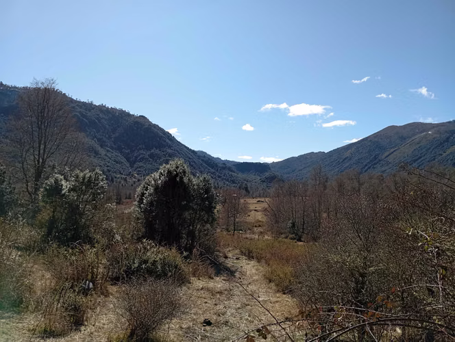 Venta parcela Panqui (174090) - Imagen 9