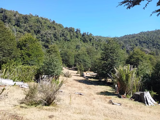Venta Campo para desarrollo Huife-Pucón (174084) - Imagen 19