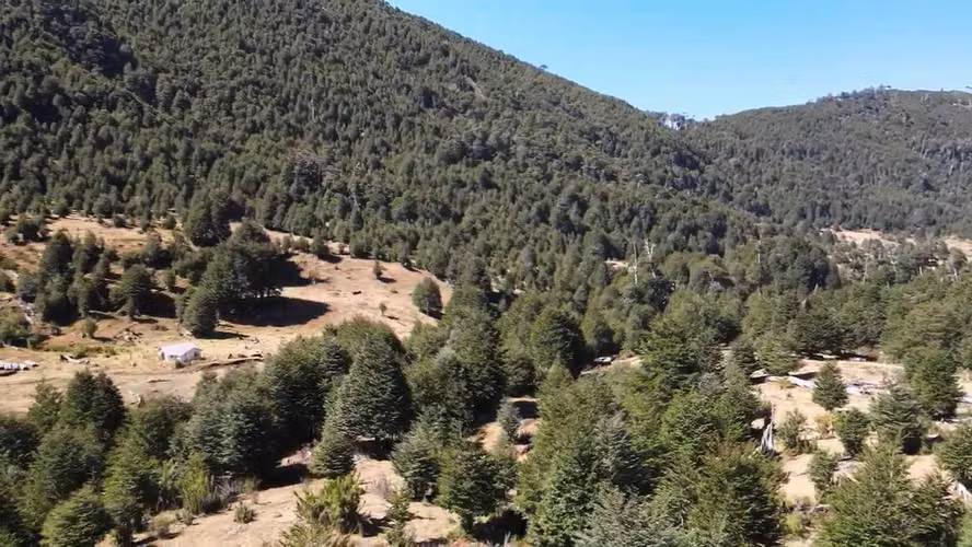 Venta Campo para desarrollo Huife-Pucón (174084) - Imagen 11