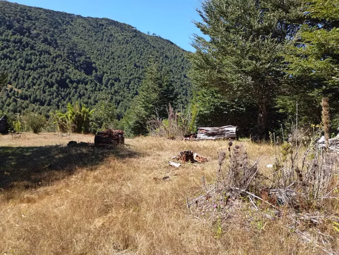 Venta Campo para desarrollo Huife-Pucón (174084) - Imagen 17