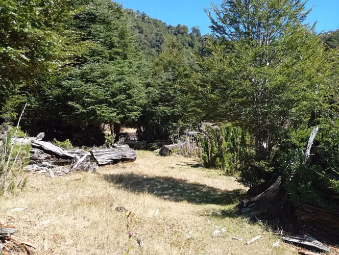 Venta Campo para desarrollo Huife-Pucón (174084) - Imagen 15