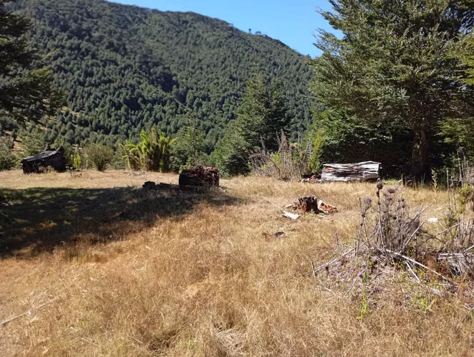Venta Campo para desarrollo Huife-Pucón (174084) - Imagen 13