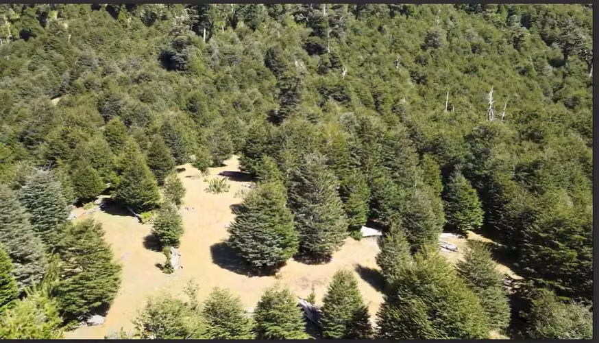 Venta Campo para desarrollo Huife-Pucón (174084) - Imagen 4